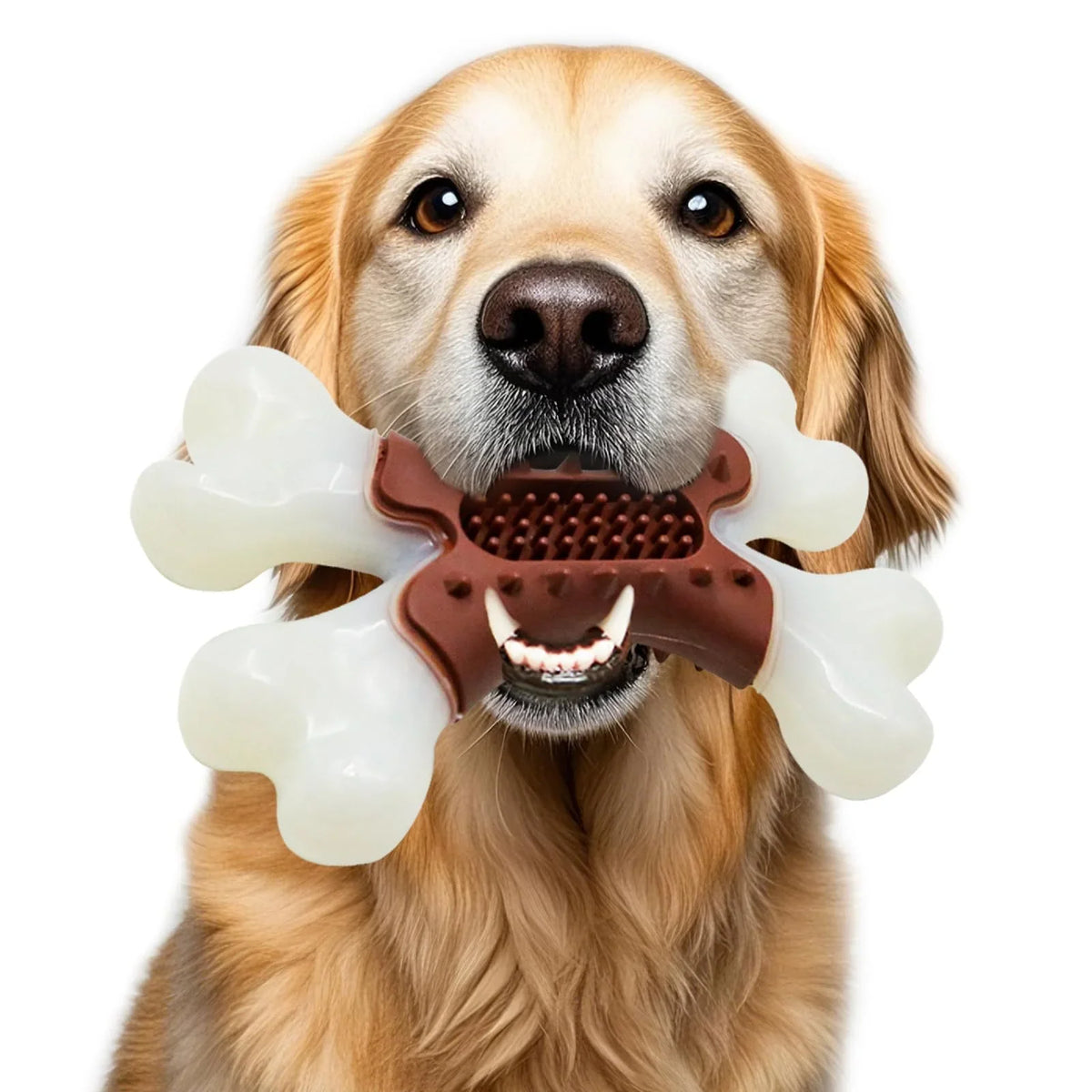 Dog Toys