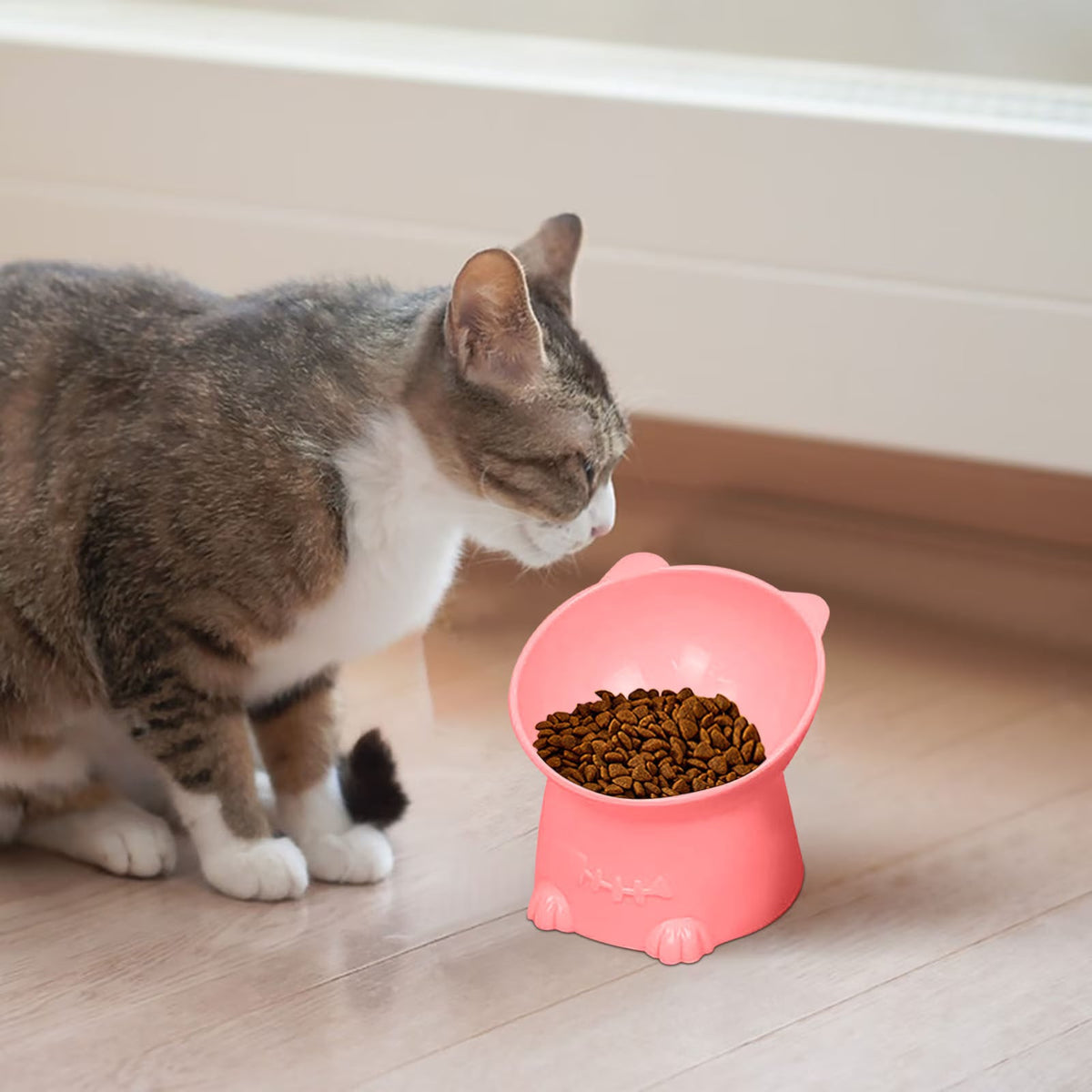 Pet Bowls And Feeding