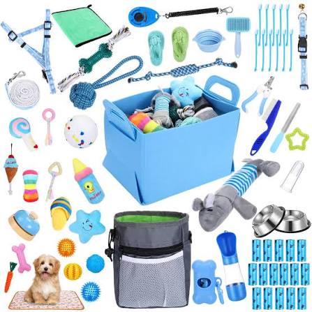 Pet Accessories